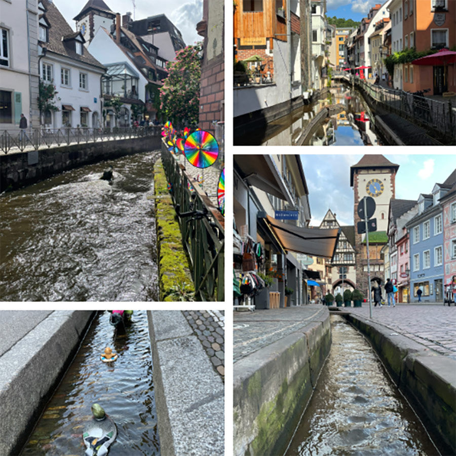 Adventure tours Freiburg- Freiburg and the water – Bächle, fountains, bathhouses
